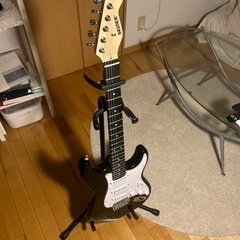 楽器 弦楽器、ギター