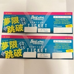 🌸明日🌸【女子バレー チケット2枚】ブレス浜松ホームゲームチケット