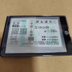 イクイノックス　宝塚記念　現地応援馬券の画像