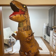 決まりました