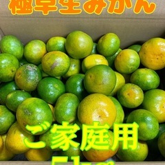 ☆和歌山みかん☆極早生•サイズ混合☆5kg③