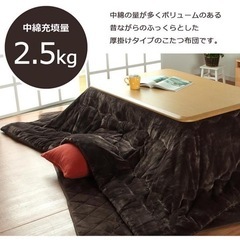 こたつ布団　こたつ用掛け布団　長方形　イケヒコ　フラン　ベージュの画像