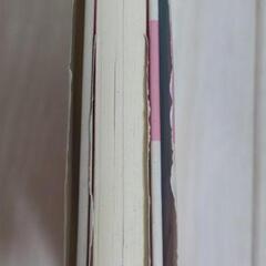 アンネ・フランク : 「隠れ家」で日記を書き続けた少女の画像