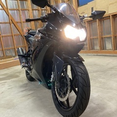 カワサキ NINJA250Rの画像