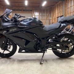 カワサキ NINJA250Rの画像