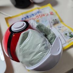 ポケモンセンターエコバッグ。