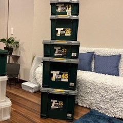 バックルコンテナ　5セットまとめて