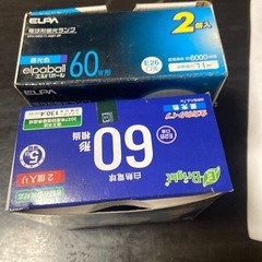電気2個の画像