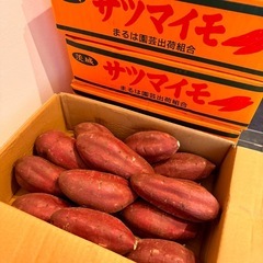 茨城県産　シルクスイート　Lサイズ　5kg箱　まるは園芸出荷組合...