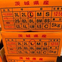 茨城県産　シルクスイート　Lサイズ　5kg箱　まるは園芸出荷組合　A等級の画像
