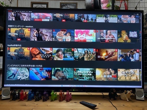 JAPANNEXT  4K  55型モニター