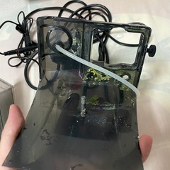 ゼンスイ　プロテインスキマー　QQ1の画像