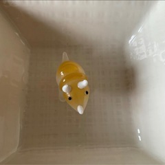 小樽ガラス