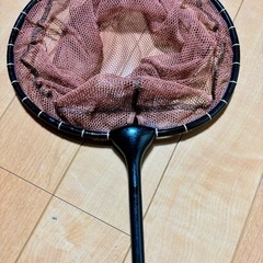 成立【無料】釣り　網スカリの画像