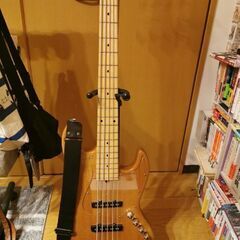 【11/10(日)まで】Bacchus Woodline WL-534