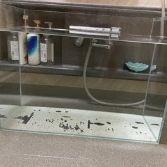 【再掲】　ADA水槽　60cmの画像