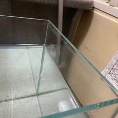 【再掲】　ADA水槽　60cmの画像