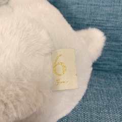 バースデーベア　6月の画像