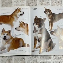 新犬種大図鑑の画像