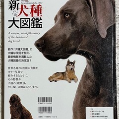 新犬種大図鑑の画像
