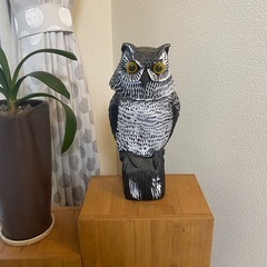決まりました　
獣よけ　ミミズクのオブジェ