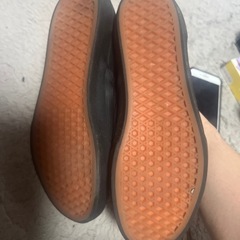 バンズ24？の画像