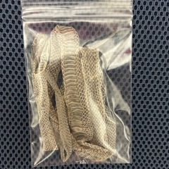 富を引き寄せる蛇の抜け殻