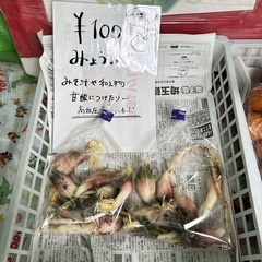 【thankyou完売】本庄産　果物　無農薬　販売　まとめ売り　セット