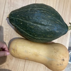 かぼちゃ