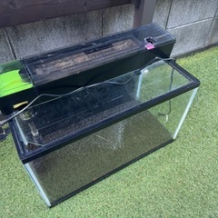 60センチ水槽セット