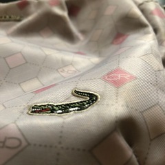 クロコダイルのショルダーバッグの画像