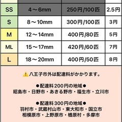 ヨーロッパイエコオロギ売り尽くし
