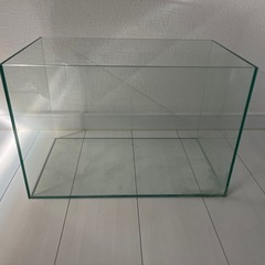 アクロ　45cm水槽
