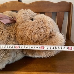 ぬいぐるみの画像