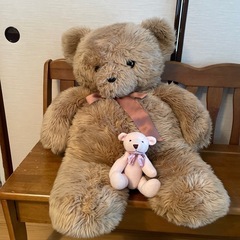 ぬいぐるみの画像