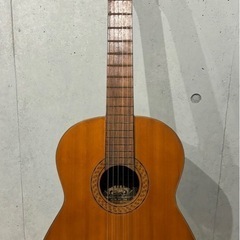 PIRLES ピアレス アコギ
