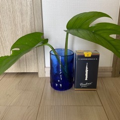 リード Vandoren 硬さ3