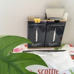 リード Vandoren 硬さ3の画像