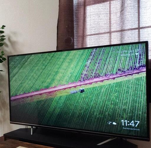 49型 液晶テレビ + Google Chromecast