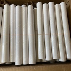 白いわんぱくジムの中古が安い！激安で譲ります・無料であげます