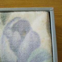 コットンケットの画像