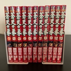 蒼天の拳1〜9,12,13巻　11冊