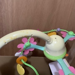 メリーの画像