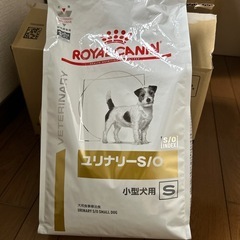 ドッグフード