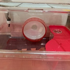ハムスターゲージ ‪🐹の画像