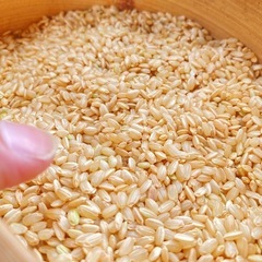 福岡県の30kg 食品の中古が安い!激安で譲ります・無料で 福岡県の30kg 食品の中古が安い!激安で譲ります・無料で