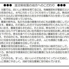 郡山方面10/24限定！わけありりんご2kg8〜9個程度入《特別栽培・JGAP》の画像