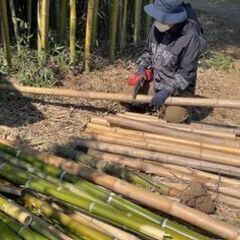 竹林整備おてつだいします