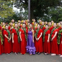 上尾市にあるフラダンス教室🌺の画像