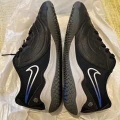 NIKE 体育館用　
サッカーシューズの画像